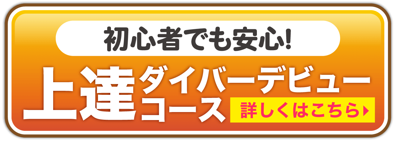 申込ボタン