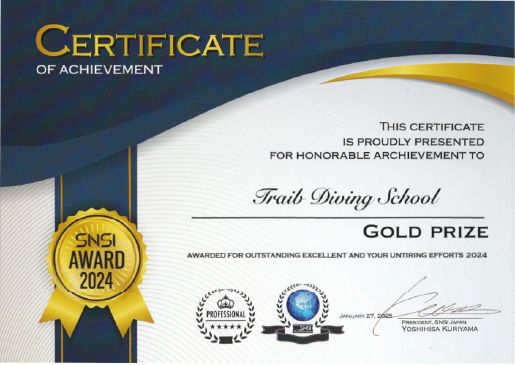 SNSI award 2024