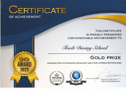 SNSI award 2023