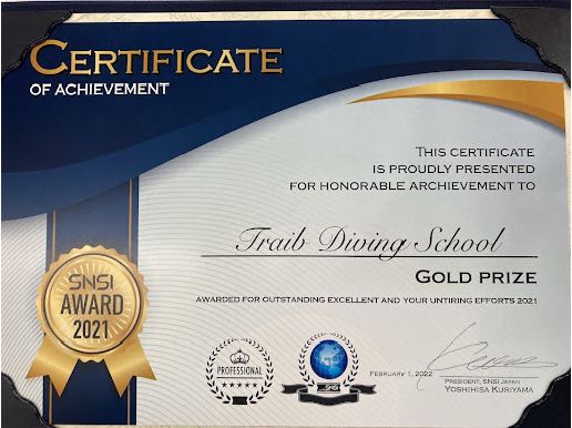 SNSI award 2021