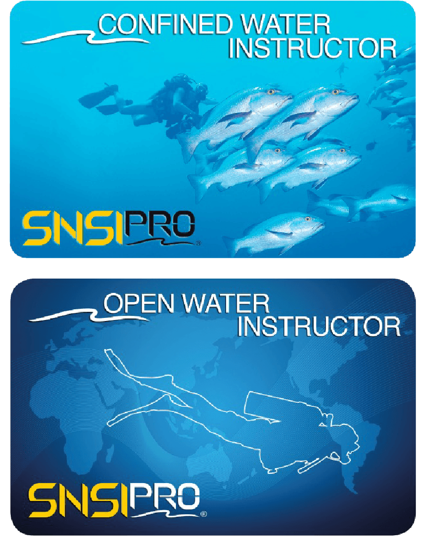 SNSIインストラクター講習