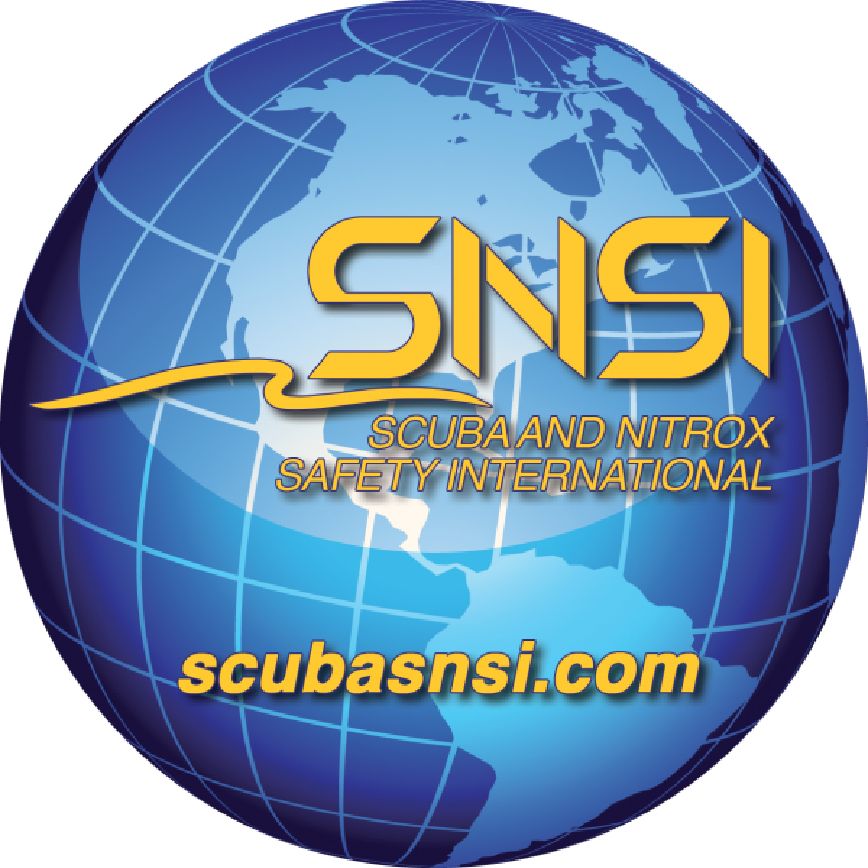 SNSI