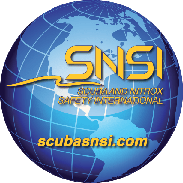 SNSI