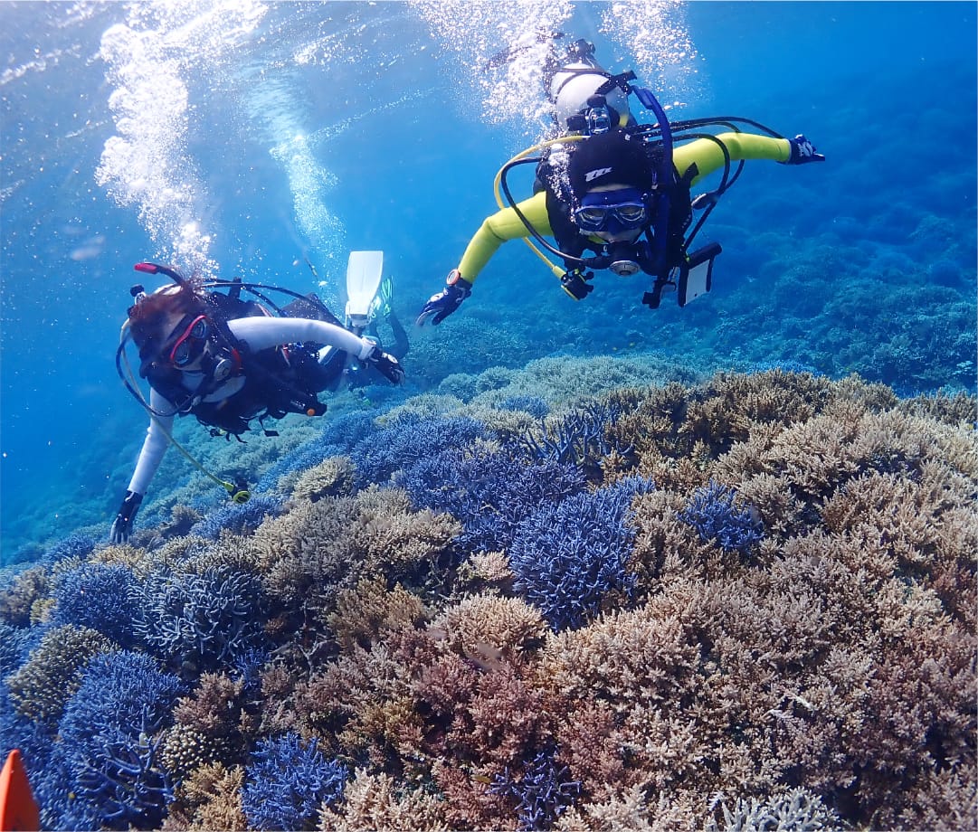 素敵な海を未来に残そう！