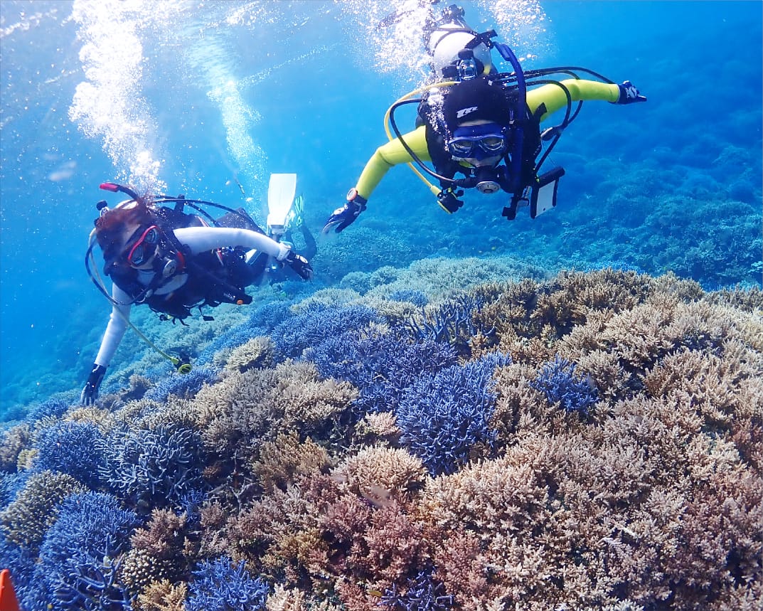 素敵な海を未来に残そう！