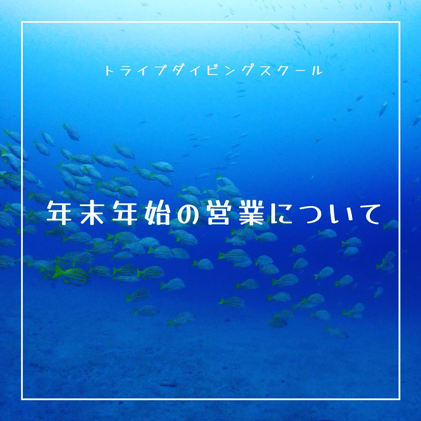 インスタから投稿