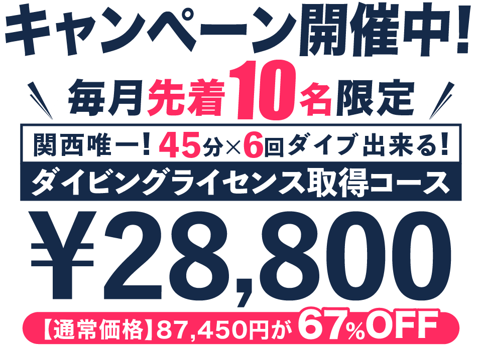 キャンペーン開催中！